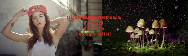 стафф Верхний Тагил