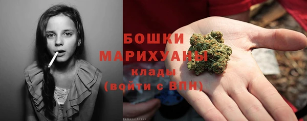 стафф Володарск