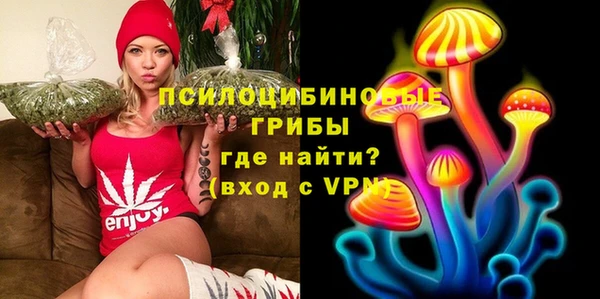 стафф Володарск